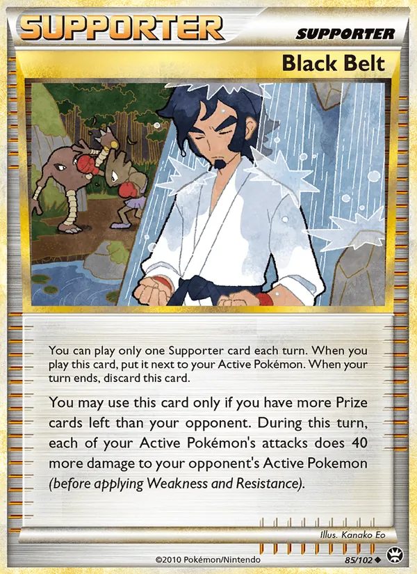 Black Belt 85/102