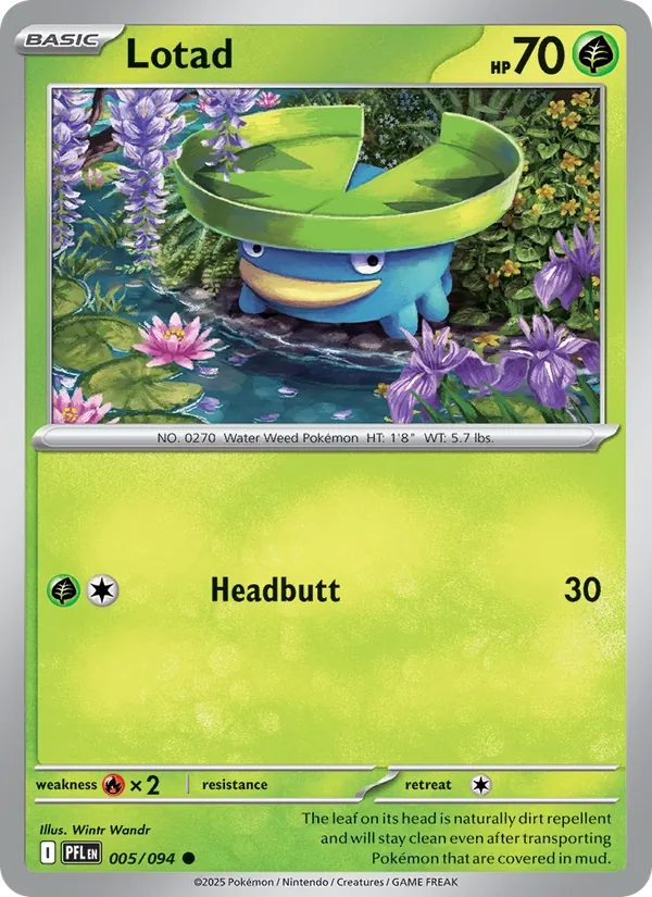 Lotad 005/94