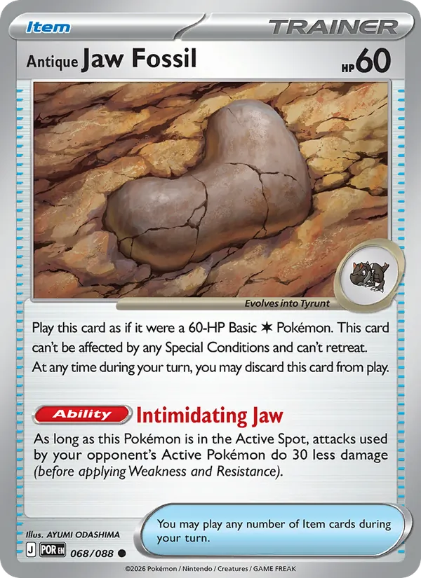 Antique Jaw Fossil 068/88