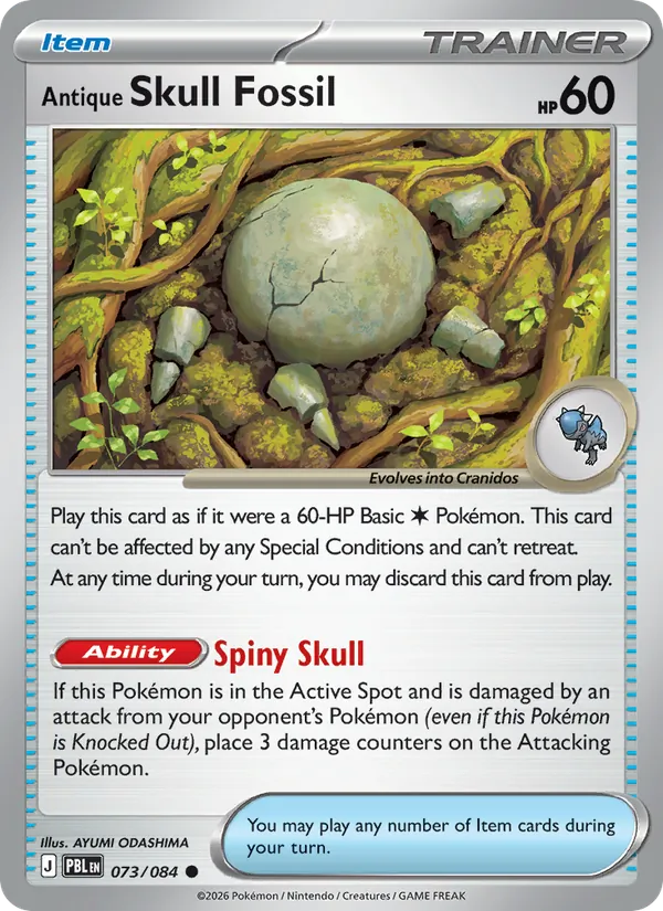 Antique Skull Fossil 073/84