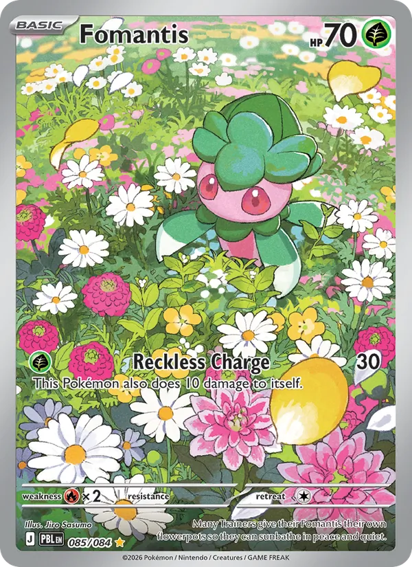 Fomantis 085/84