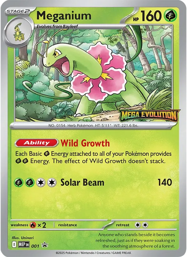 Meganium 001