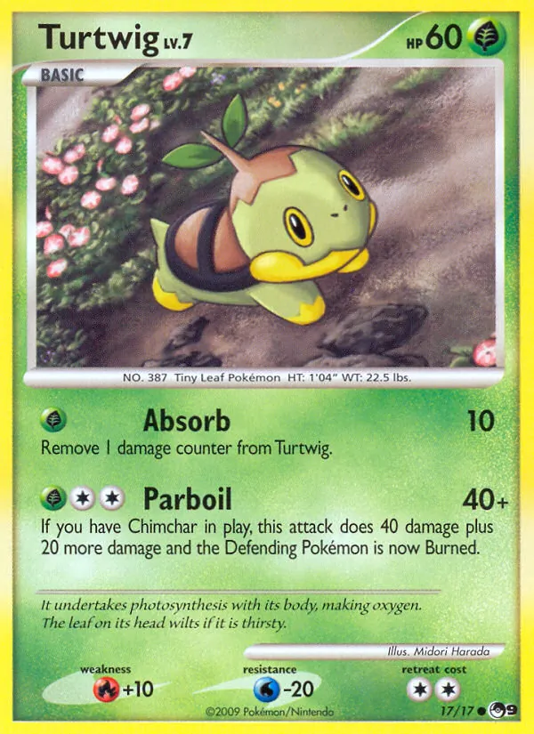 Turtwig 17/17