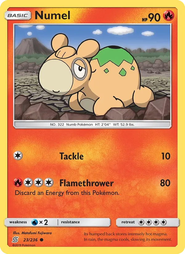 Numel 23/236