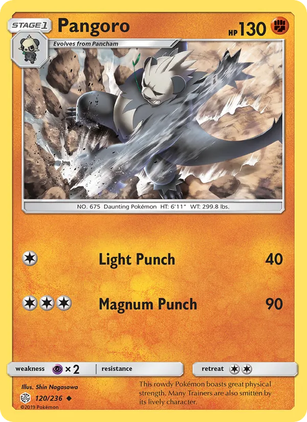 Pangoro 120/236