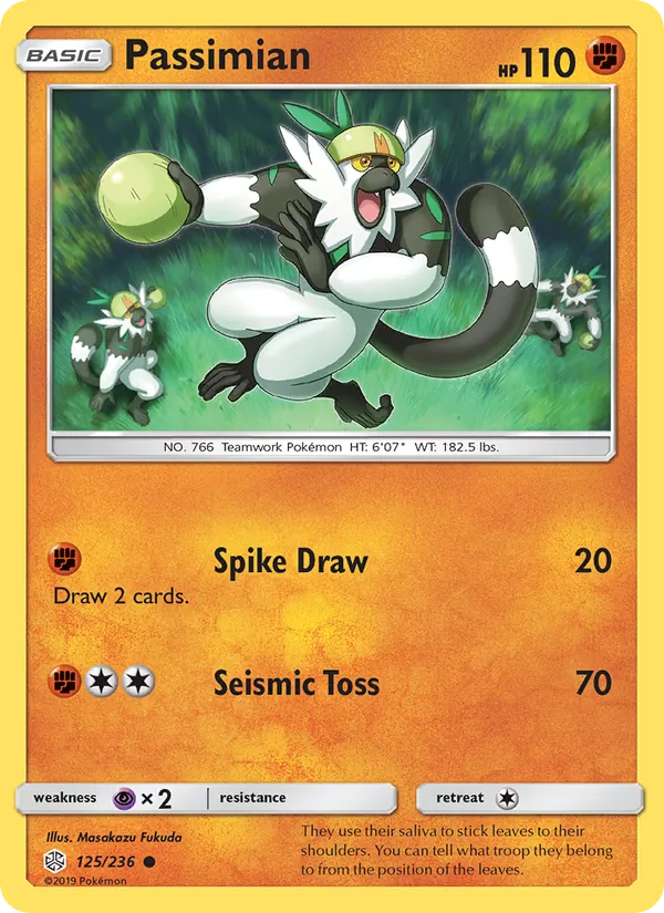 Passimian 125/236