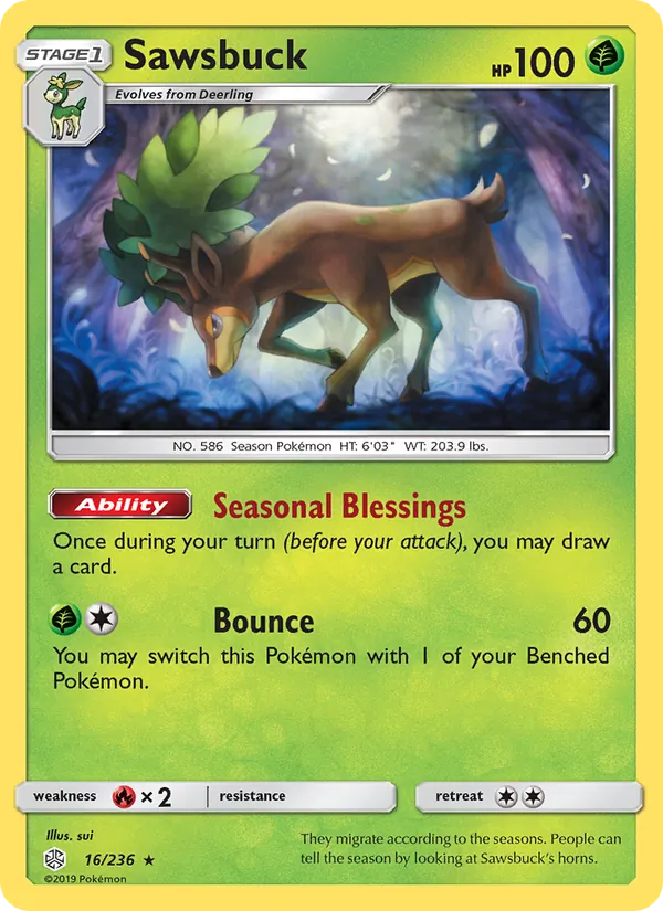 Sawsbuck 16/236