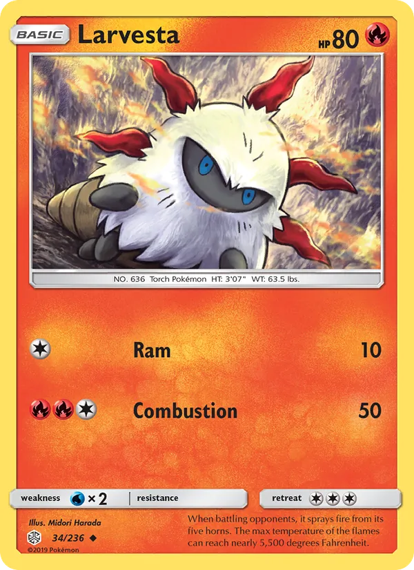 Larvesta 34/236