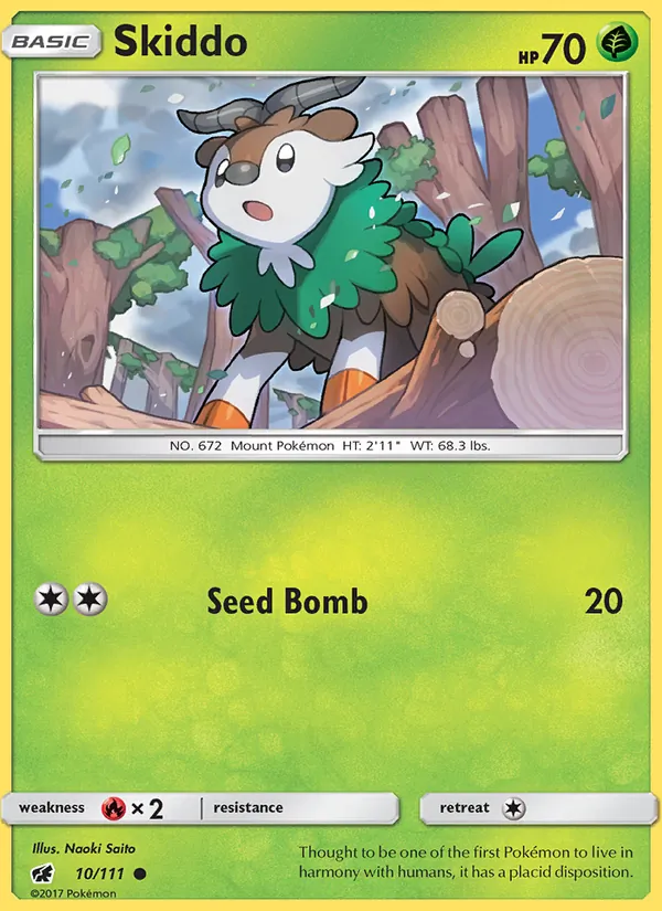 Skiddo 10/111