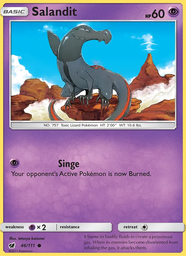 Salandit 46/111