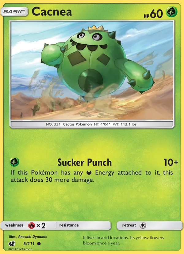 Cacnea 5/111