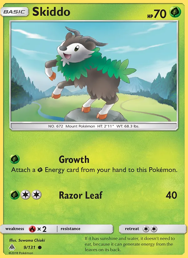 Skiddo 9/131