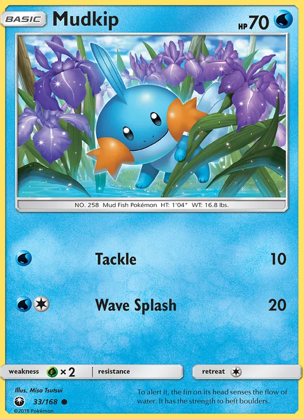 Mudkip 33/168