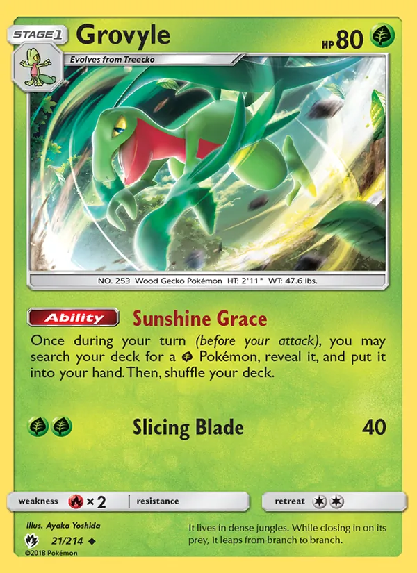 Grovyle 21/214
