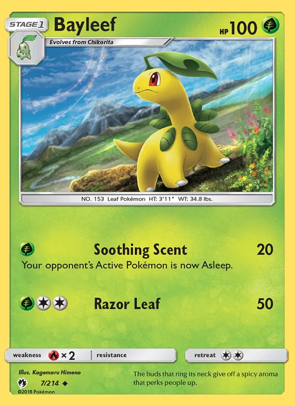 Bayleef 7/214