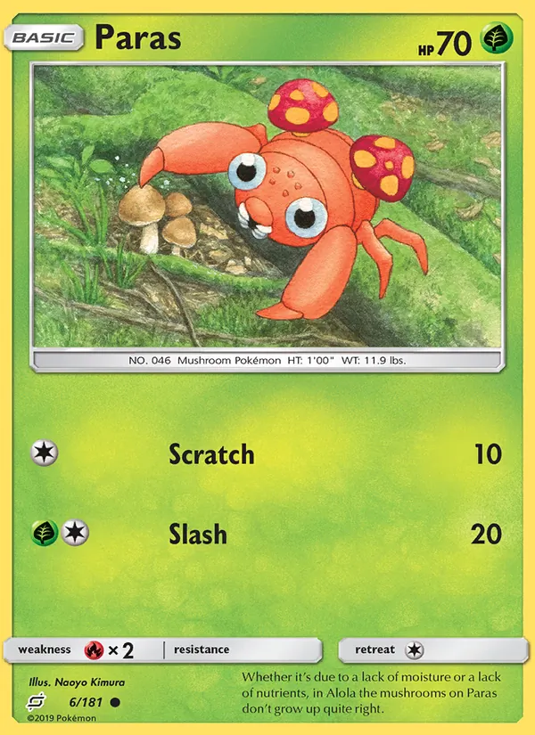 Paras 6/181