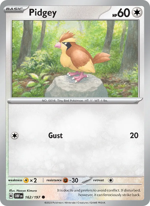 Pidgey 162/197