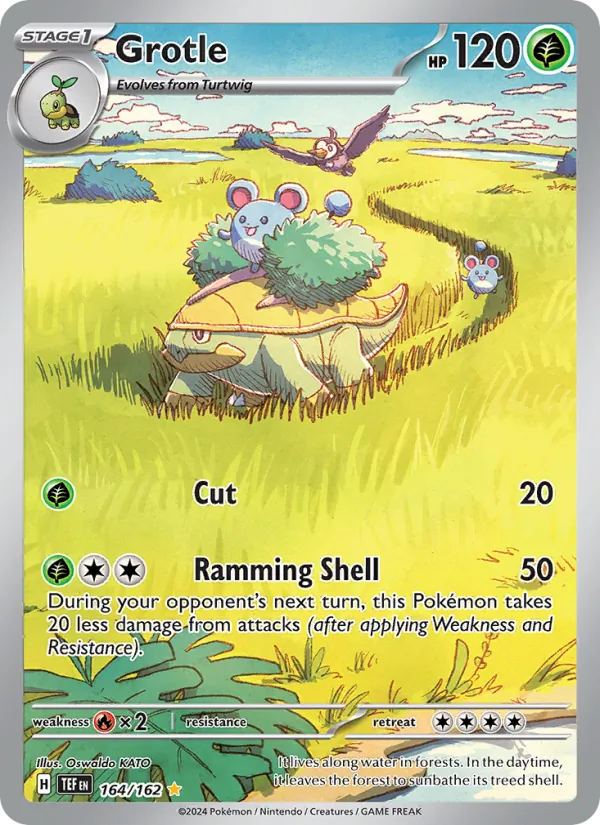 Grotle 164/162