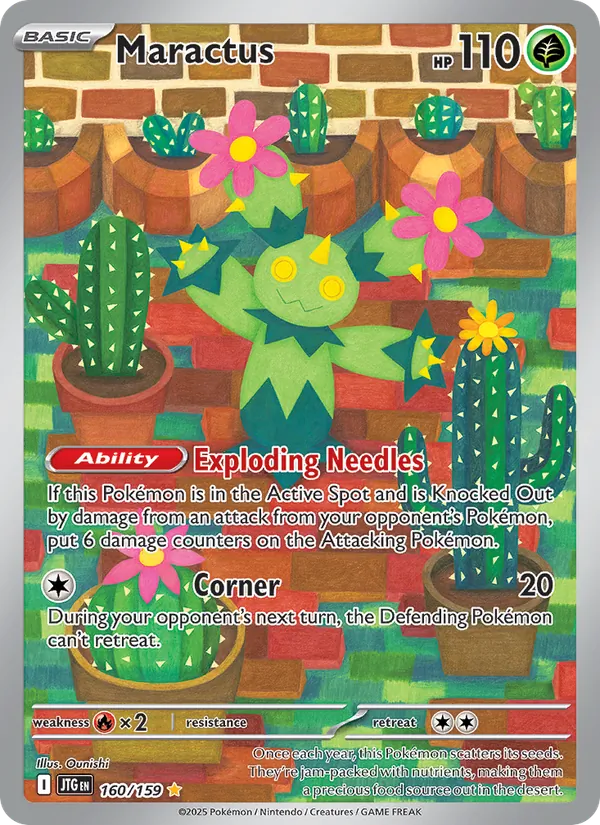 Maractus 160/159