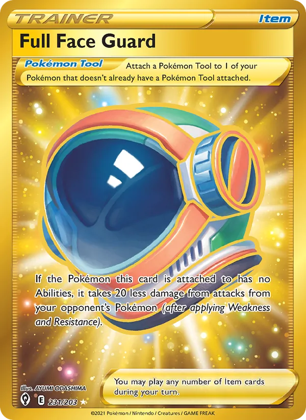 Full Face Guard 231/203