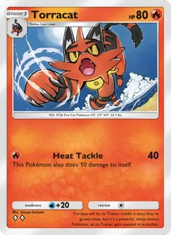 Torracat