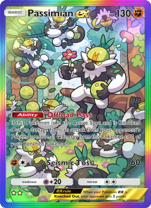 Passimian ex 205/155