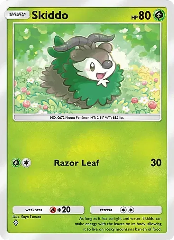 Skiddo 021/226