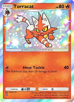 Torracat