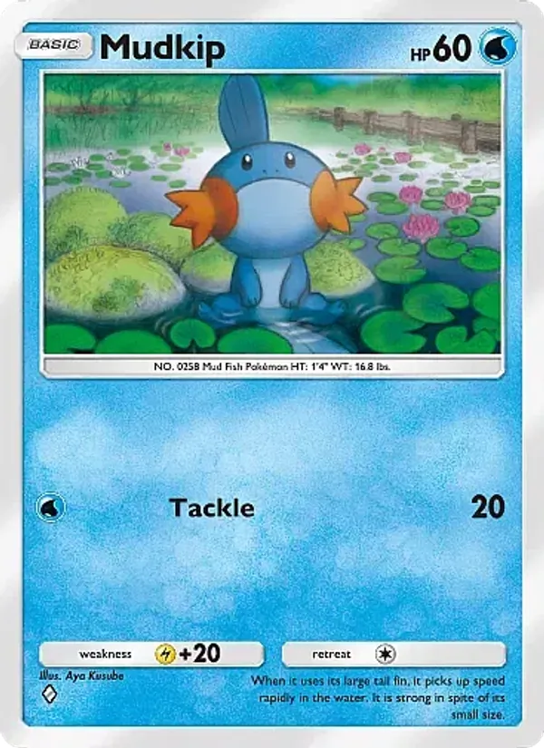 Mudkip 033/155