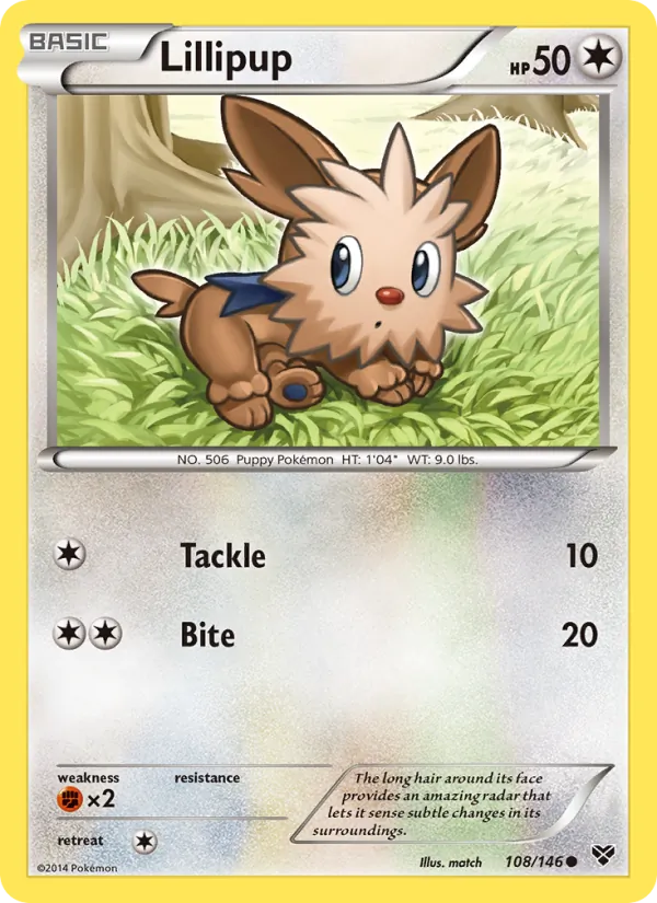 Lillipup 108/146