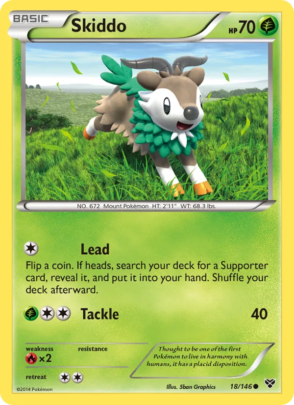Skiddo 18/146