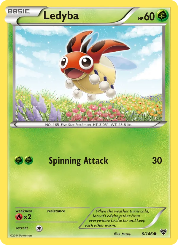 Ledyba 6/146