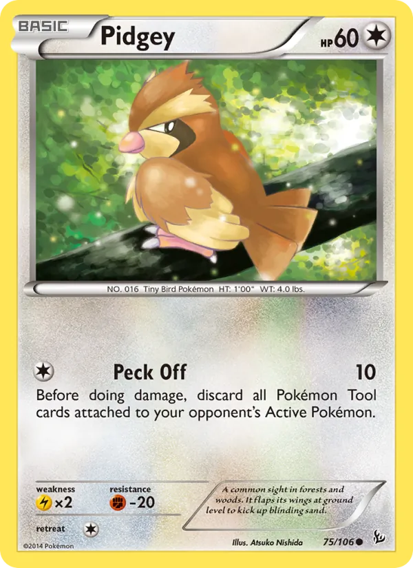 Pidgey 75/106