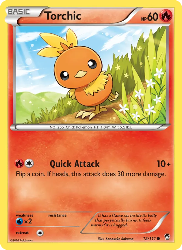 Torchic 12/111