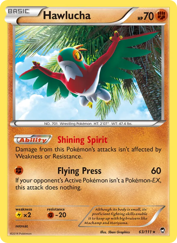 Hawlucha 63/111