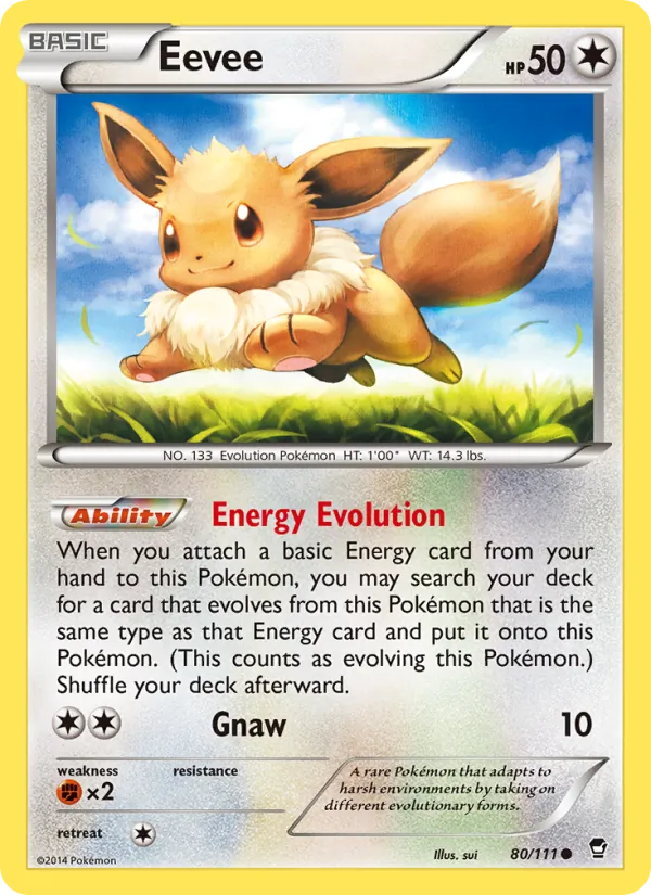 Eevee 80/111