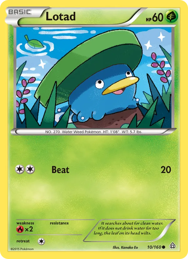 Lotad 10/160