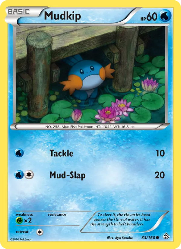 Mudkip 33/160
