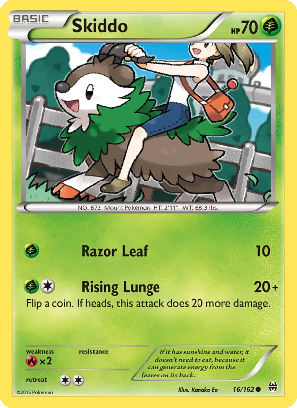 Skiddo 16/162