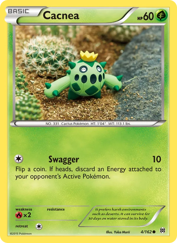 Cacnea 4/162