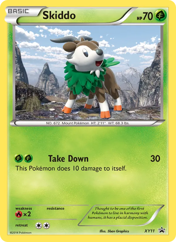 Skiddo XY11/211