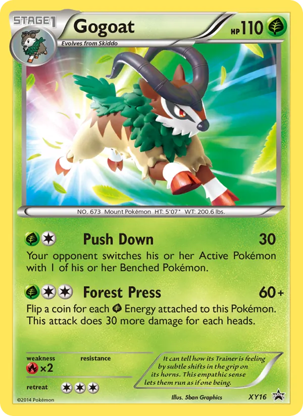 Gogoat XY16/211