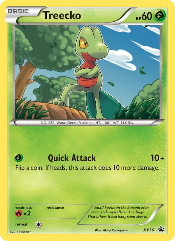 Treecko XY36/211