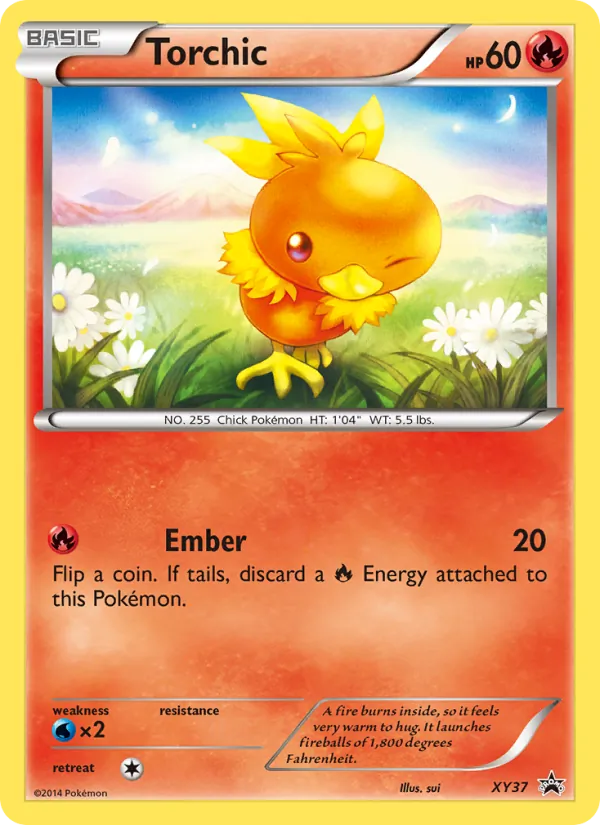 Torchic XY37/211