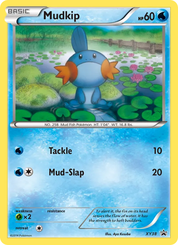 Mudkip XY38/211