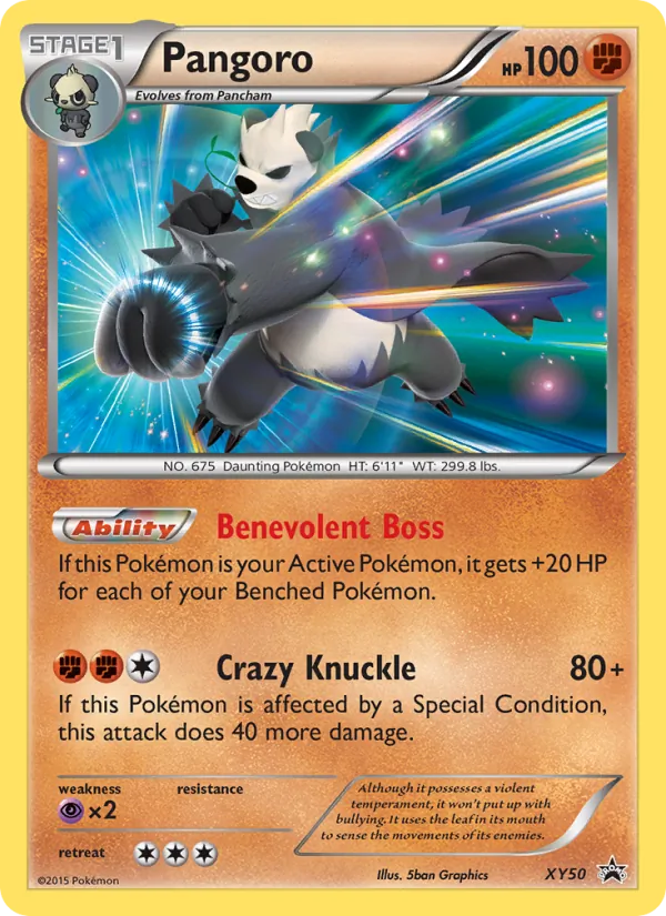 Pangoro XY50/211
