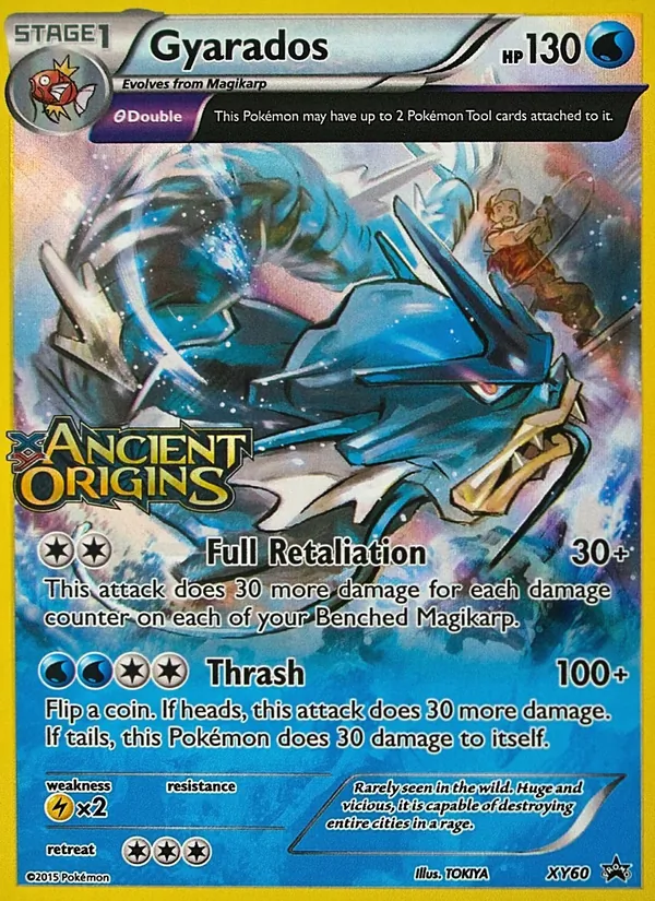 Gyarados XY60/211