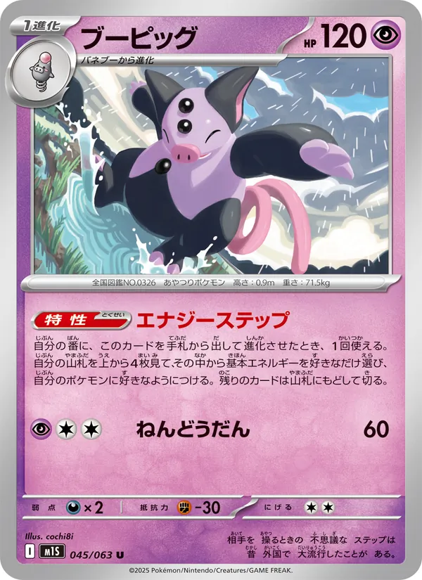 ブーピッグ 045/63
