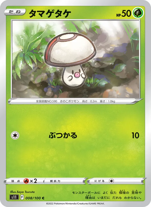 タマゲタケ 008/100