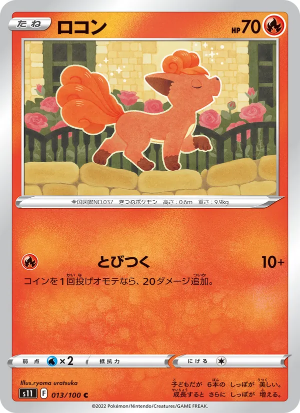ロコン 013/100